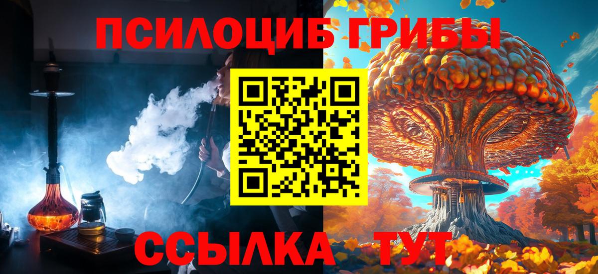 Псилоцибиновые грибы MAGIC MUSHROOMS Зима
