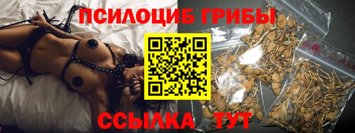 Псилоцибиновые грибы Psilocybine cubensis  Вход с VPN  Зима 