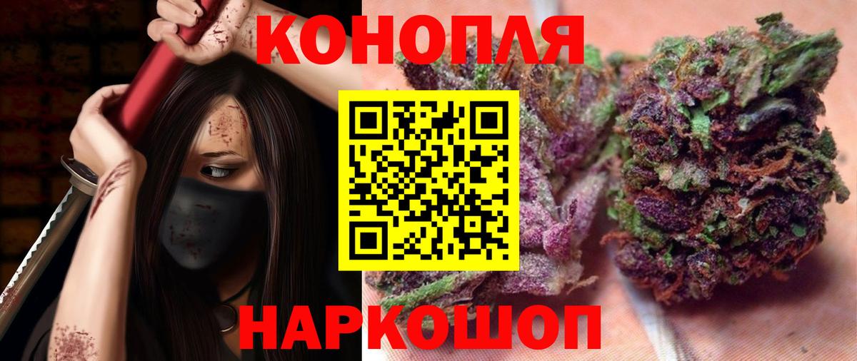 Марихуана план Зима
